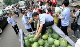 沾化区吃瓜最新事件爆料,揭秘背后真相与争议